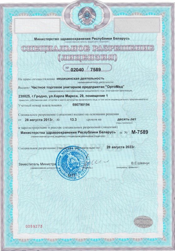 Лицензия 1-я страница