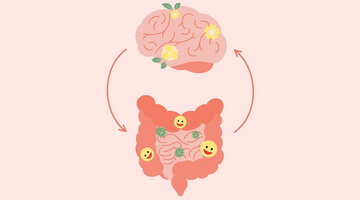 Здоровый кишечник – здоровый мозг