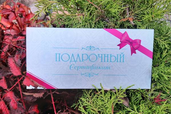 2024.11.11-1_original